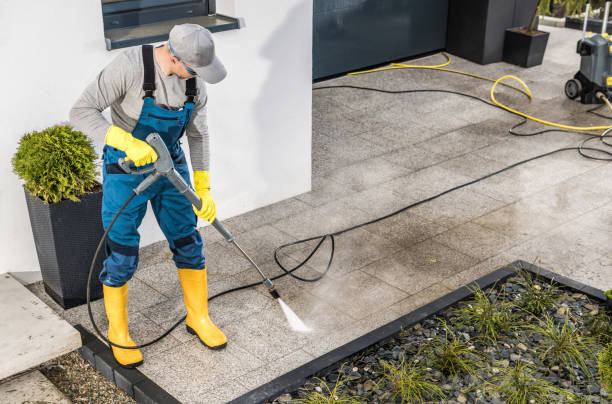 Best Roof Pressure Washing  in La Vergne, TN